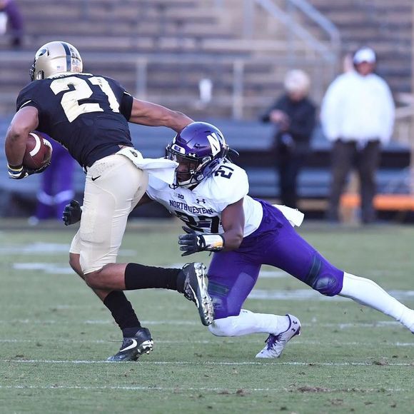 Meet your Posher, Roderick - Picture 1 of 1